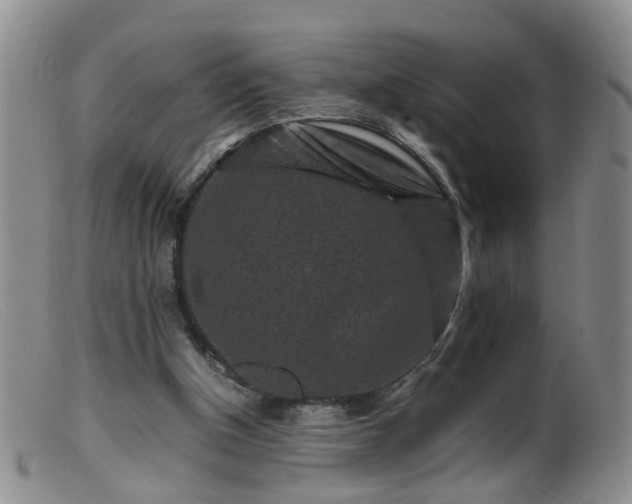 X0000099470154200805161119
