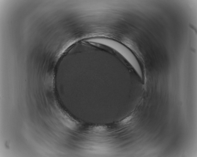 X0000099470156200805161119