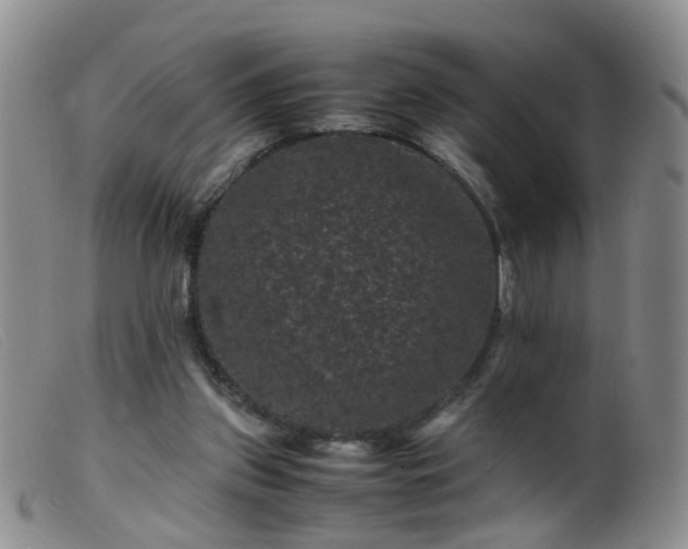 X0000099470157200805161119