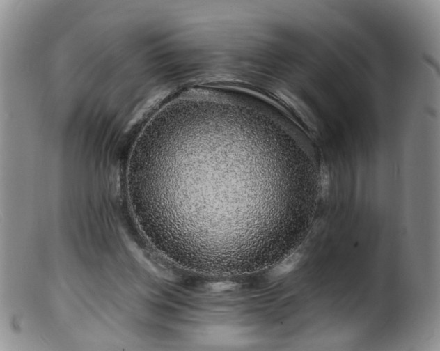 X0000099470158200805161119
