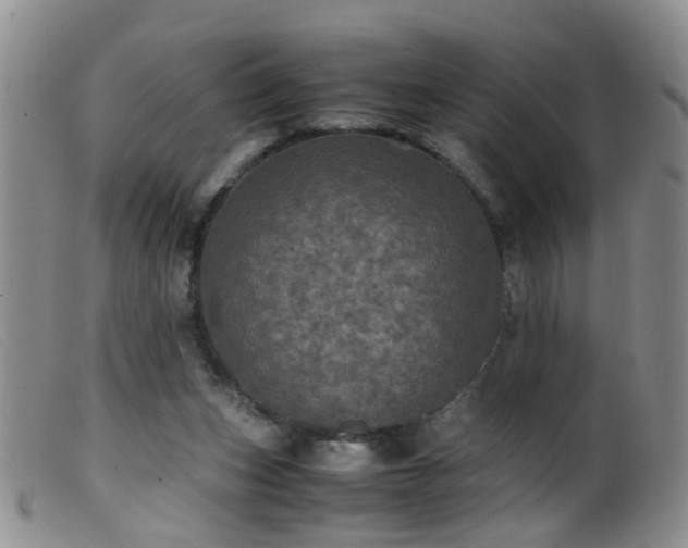 X0000099470159200805161119