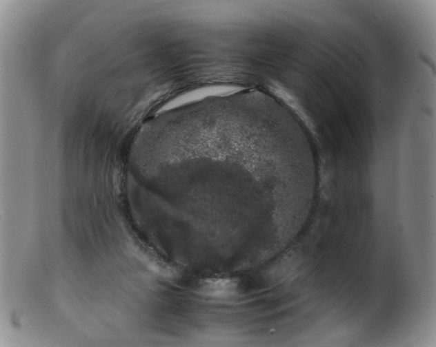 X0000099470161200805161119
