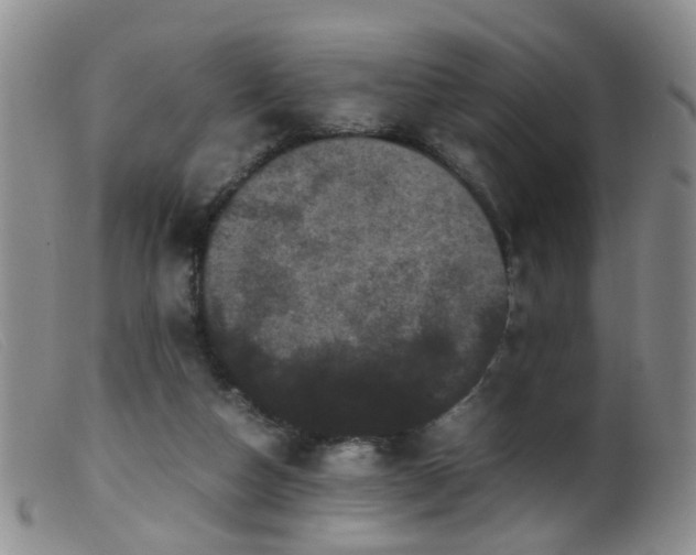 X0000099470162200805161119