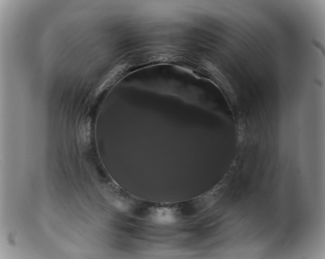 X0000099470163200805161119