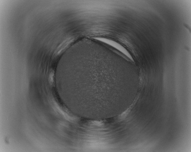 X0000099470166200805161119
