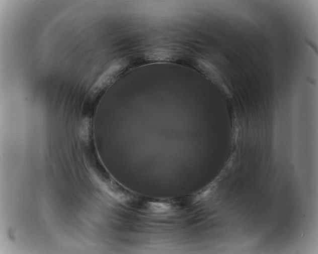 X0000099470167200805161119