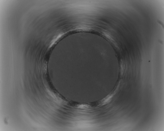 X0000099470168200805161119