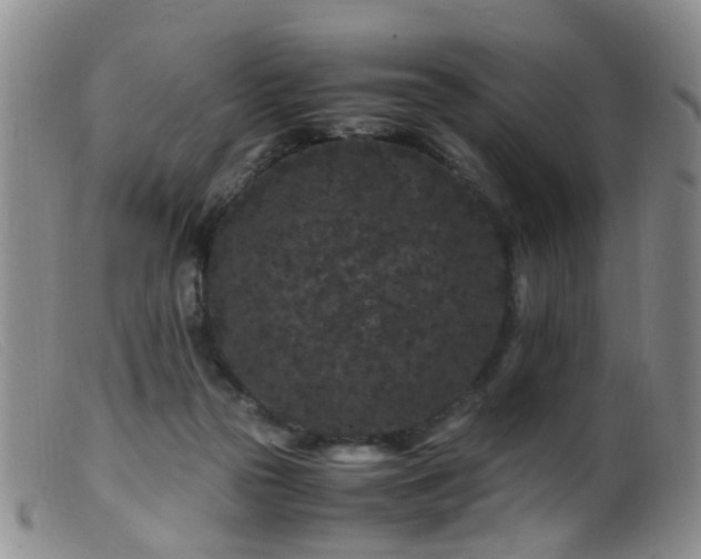X0000099470169200805161119