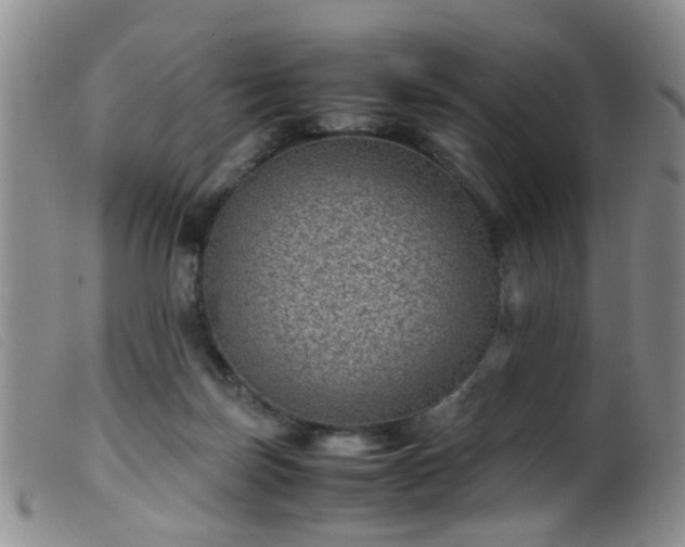 X0000099470171200805161119