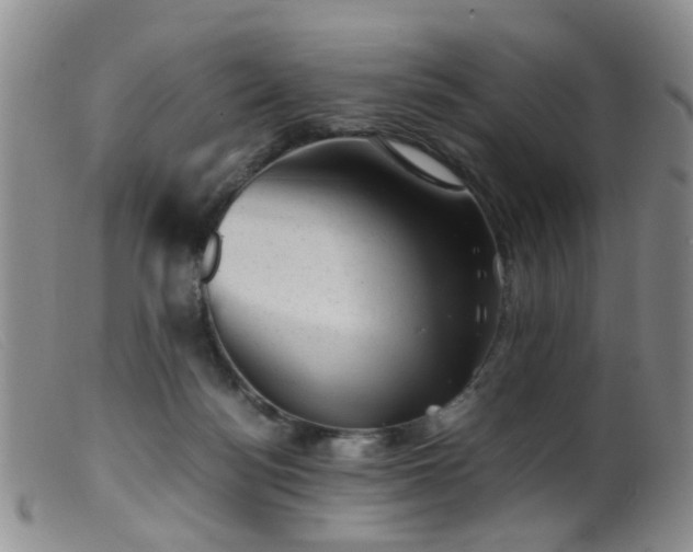 X0000099470172200805161119