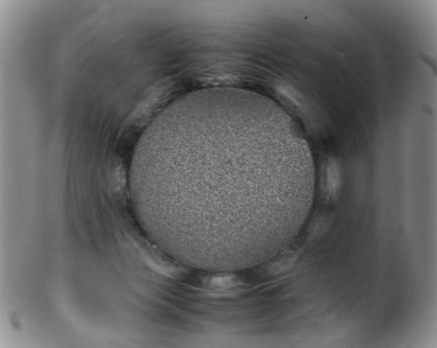 X0000099470173200805161119