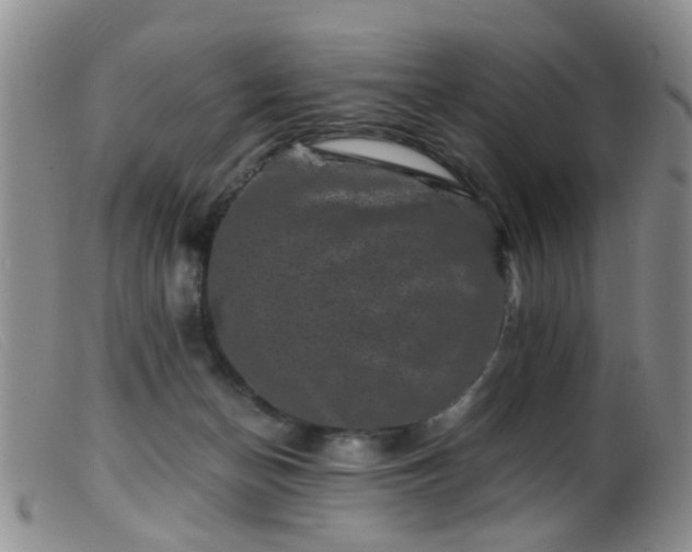 X0000099470174200805161119