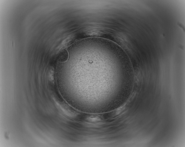 X0000099470175200805161119