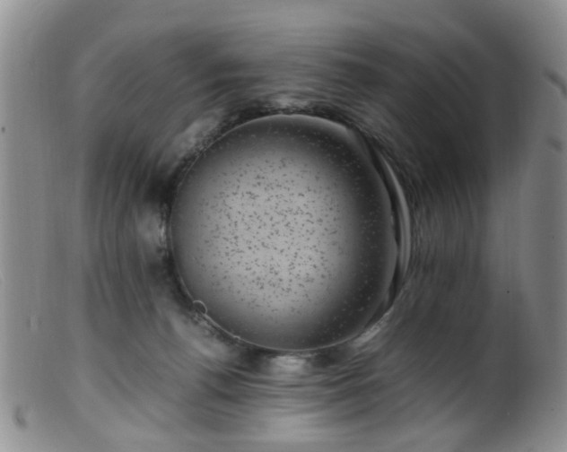 X0000099470176200805161119