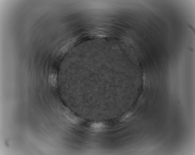 X0000099470177200805161120