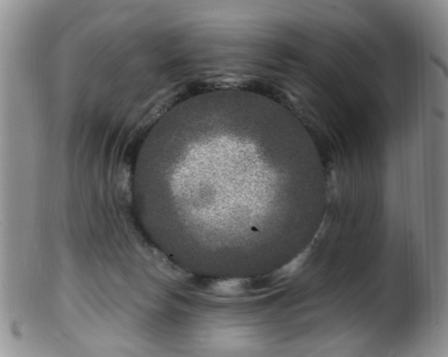 X0000099470178200805161120