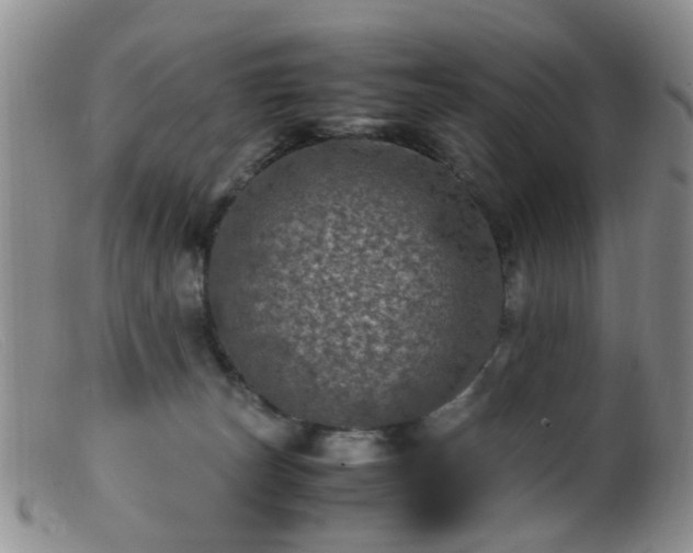 X0000099470179200805161120