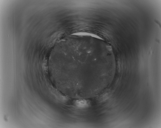 X0000099470181200805161120