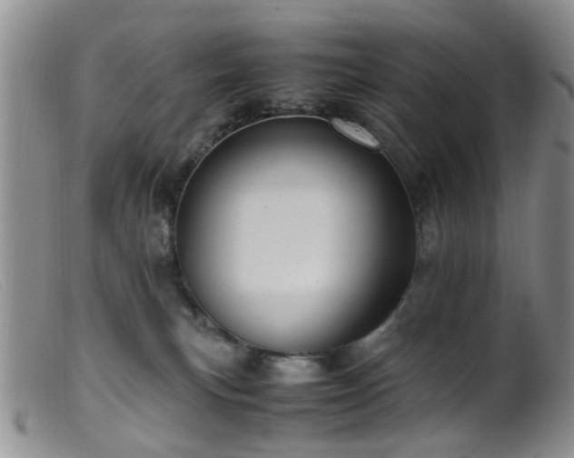 X0000099470183200805161120