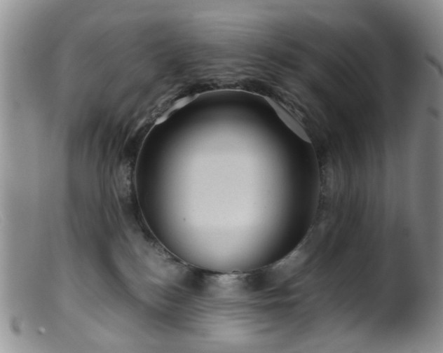 X0000099470184200805161120
