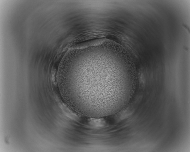X0000099470185200805161120
