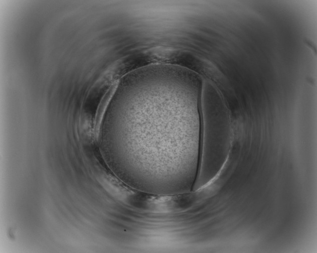 X0000099470186200805161120