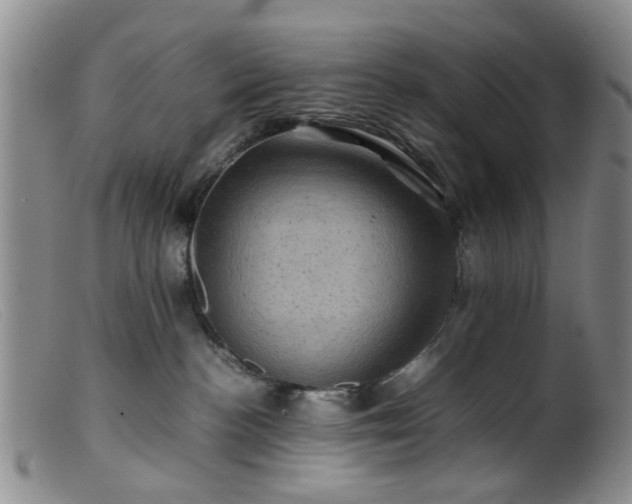 X0000099470188200805161120