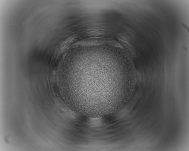 X0000099470189200805161120