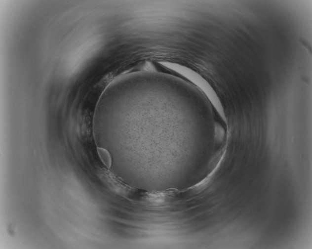 X0000099470190200805161120