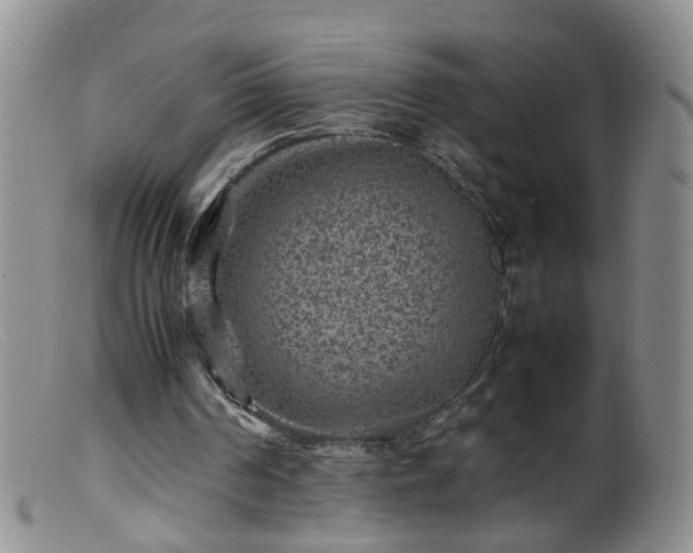 X0000099470194200805161119