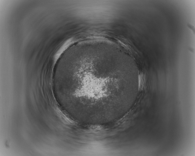 X0000099470195200805161119