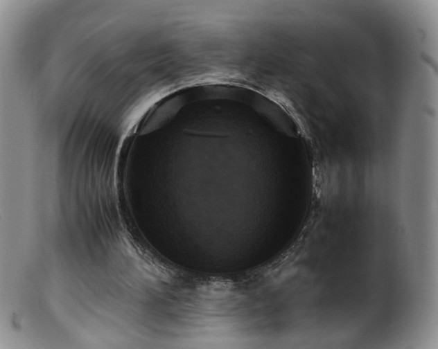 X0000099470196200805161119