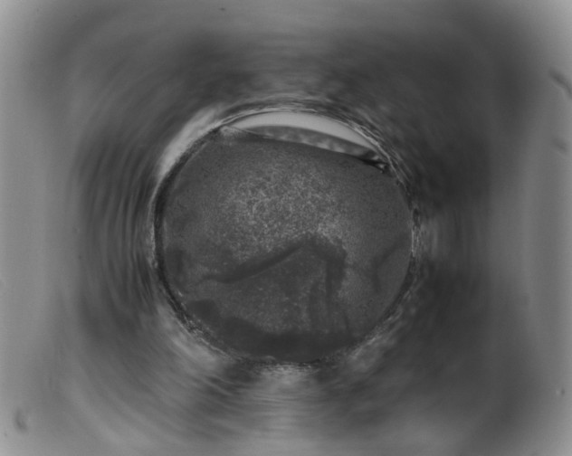 X0000099470198200805161119