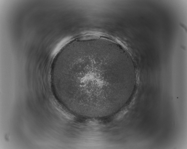 X0000099470199200805161119