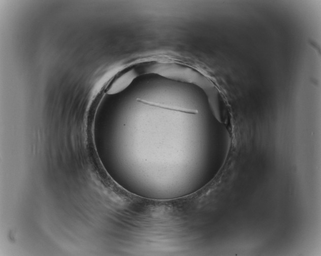 X0000099470200200805161119