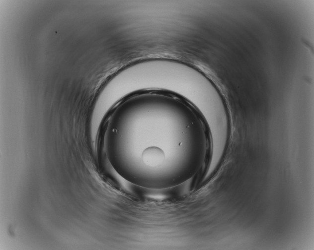 X0000099470201200805161119