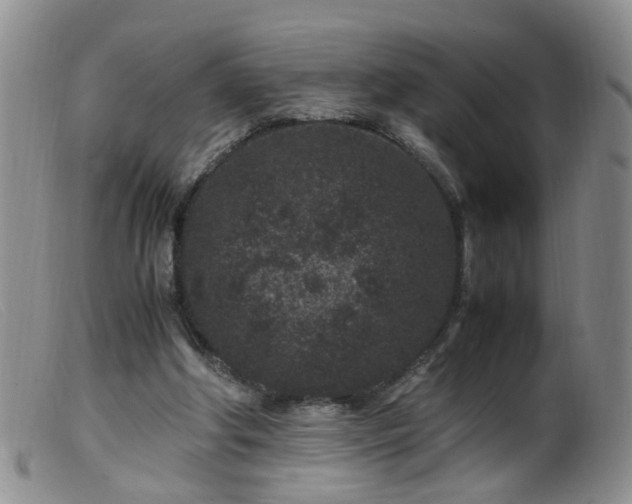 X0000099470202200805161119