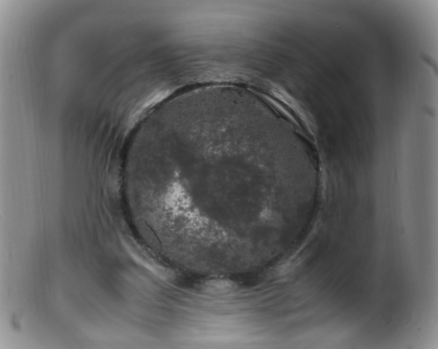 X0000099470203200805161119