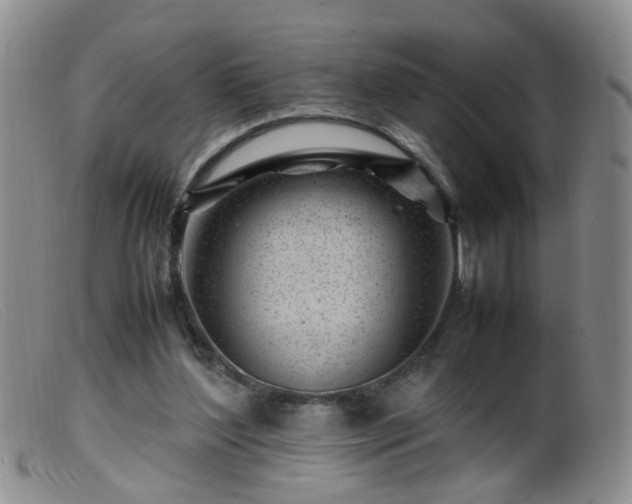 X0000099470204200805161119