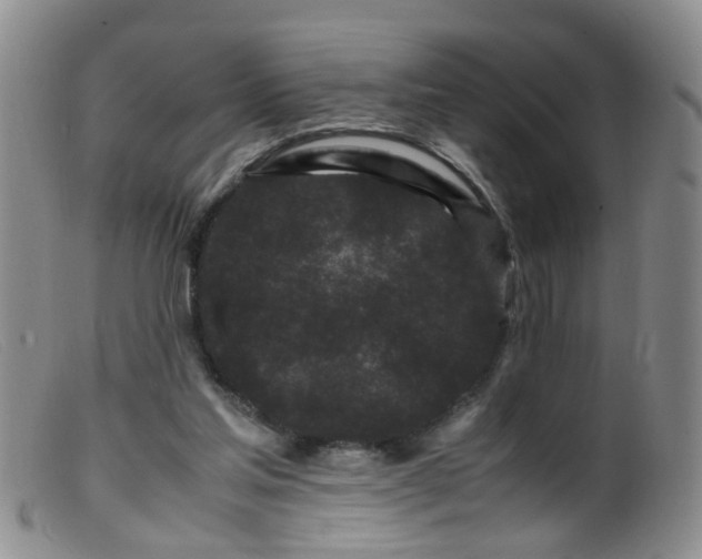 X0000099470205200805161119