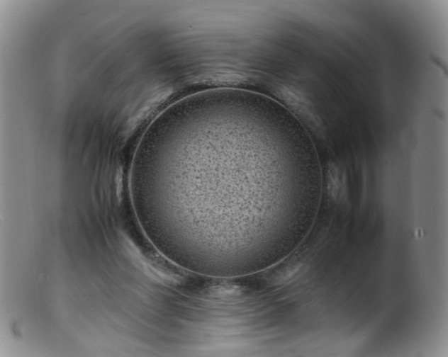X0000099470206200805161119