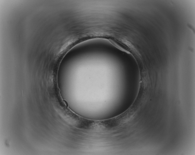 X0000099470207200805161119
