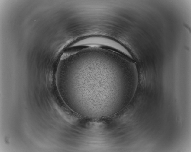 X0000099470208200805161119