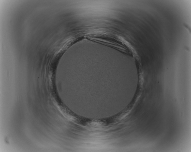 X0000099470209200805161119