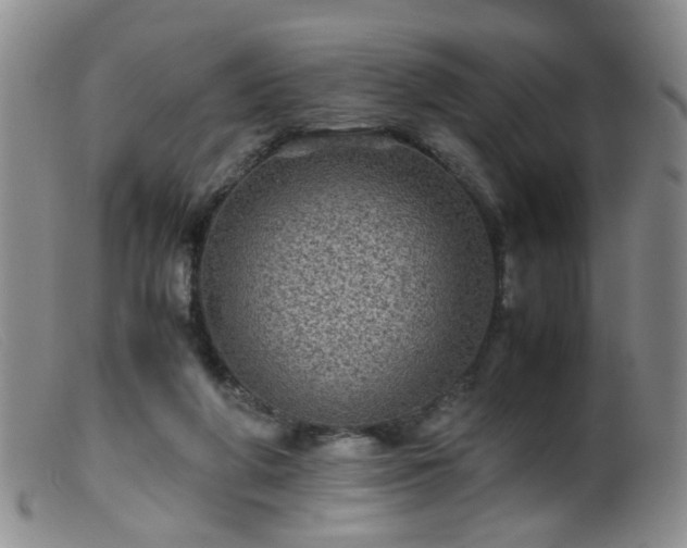 X0000099470210200805161119