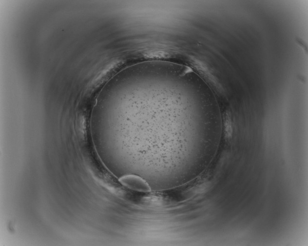 X0000099470211200805161119