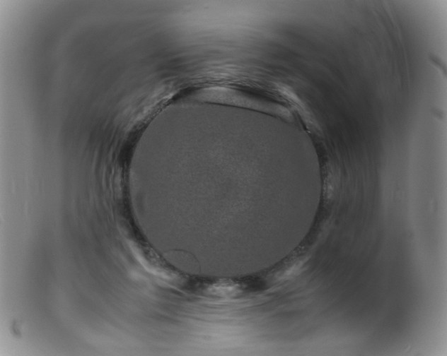 X0000099470213200805161119