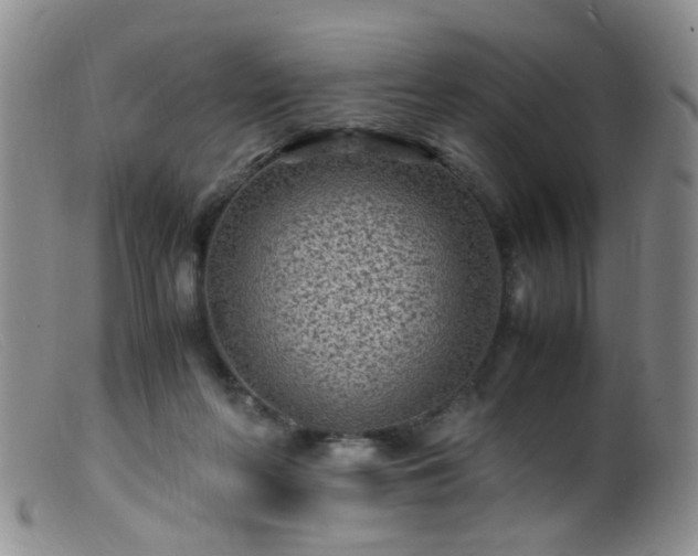 X0000099470214200805161119