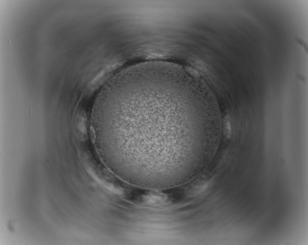 X0000099470215200805161119