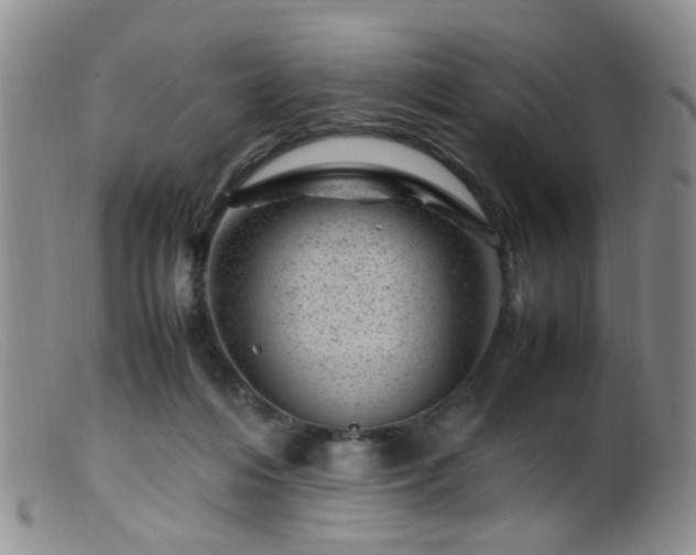 X0000099470216200805161119